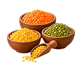 Pulses